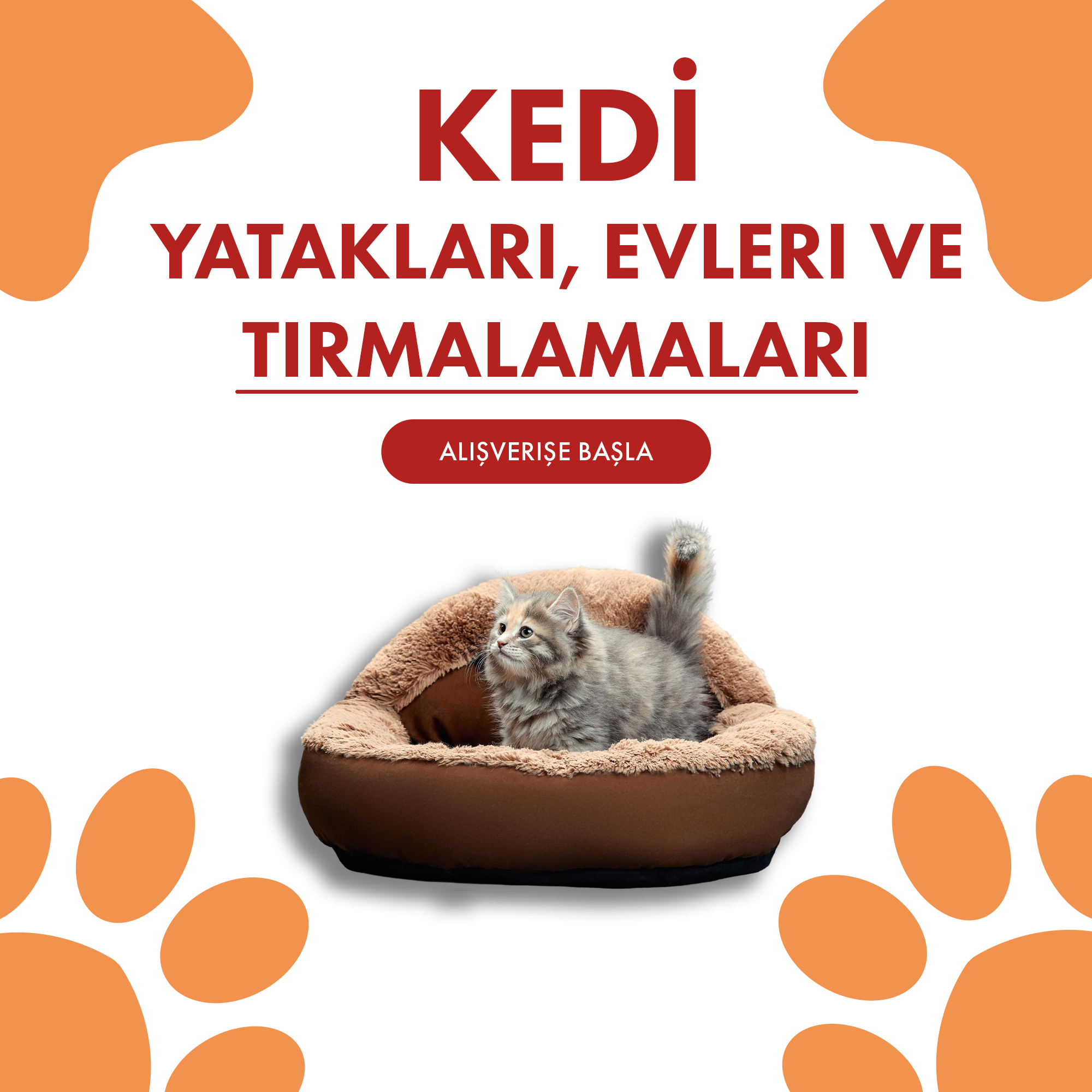 Kedi Yatakları, Evleri ve Tırmalamaları